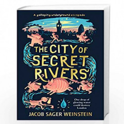 The City of Secret Rivers by Jacob Sager Weinstein Book-9781406368857