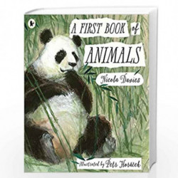 A First Book of Animals by Nicola Davies and Petr Horacek Book-9781406378122