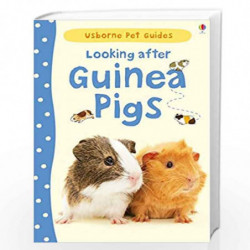 Looking After Guinea Pigs (Pet Guides) by Usborne Book-9781409561880