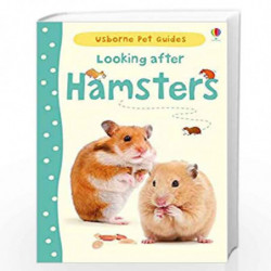 Looking after Hamsters (Pet Guides) by Usborne Book-9781409561897