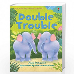 VFR DOUBLE TROUBLE by Usborne Book-9781409572053