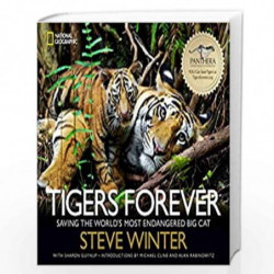 Tigers Forever: Saving the World''s Most Endangered Big Cat by Winter Steve Book-9781426212406