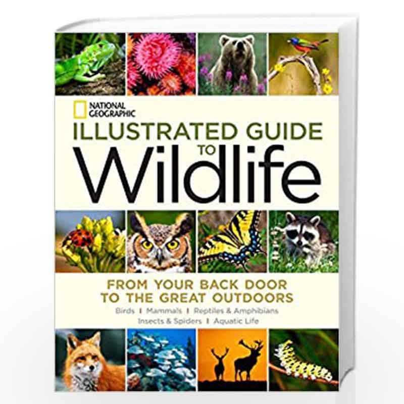National Geographic Illustrated Guide to Wildlife: From Your Back Door to the Great Outdoors by NATIONAL GEOGRAPHIC Book-9781426