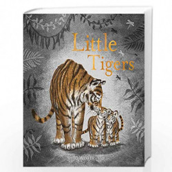 Little Tigers by Weaver, Jo Book-9781444937534