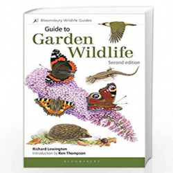 Guide to Garden Wildlife (2nd edition) (Bloomsbury Wildlife Guides) by Richard Lewington Book-9781472964830