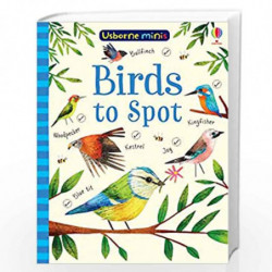 Birds to Spot (Usborne Minis) by NA Book-9781474952156