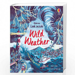 Look Inside Wild Weather by NILL Book-9781474968874