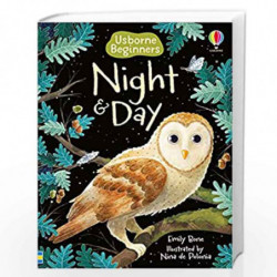 Night and Day (Beginners) by NILL Book-9781474979399
