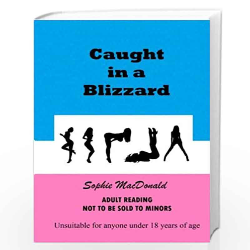 Caught in a Blizzard by Sophie MacDonald Book-9781493658329