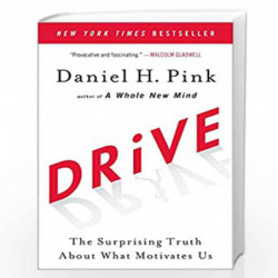 Drive: The Surprising Truth About What Motivates Us by PINK, DANIEL H. Book-9781594484803