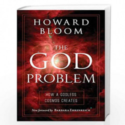 The God Problem: How a Godless Cosmos Creates by NILL Book-9781633881426