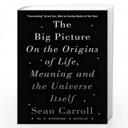 The Big Picture: On the Origins of Life, Meaning, and the Universe Itself by CARROLL SEAN Book-9781786071033