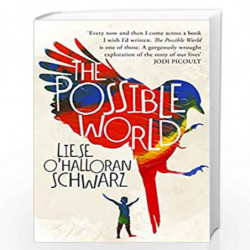 The Possible World by Schwarz, Liese O\'Halloran Book-9781786331199