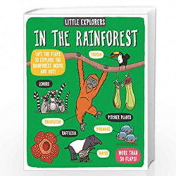 Little Explorers: In the Rainforest by CLIVE,MCFARLAND Book-9781787413313