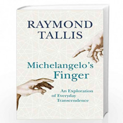 Michelangelo''s Finger: An Exploration of Everyday Transcendence by RAYMOND Book-9781848871199