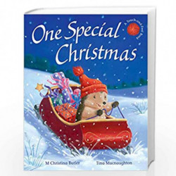 One Special Christmas (Little Hedgehog) by M Christina Butler Book-9781848956483