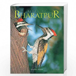 Birds Of Bharatpur by RAJPAL SINGH Book-9788172340513