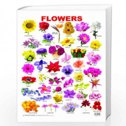 Flower by NA Book-9788184513547