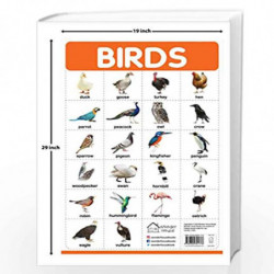 Birds - My First Early Learning Wall Posters: For Preschool, Kindergarten, Nursery and Homeschooling (19 inches X 29 inches) by 