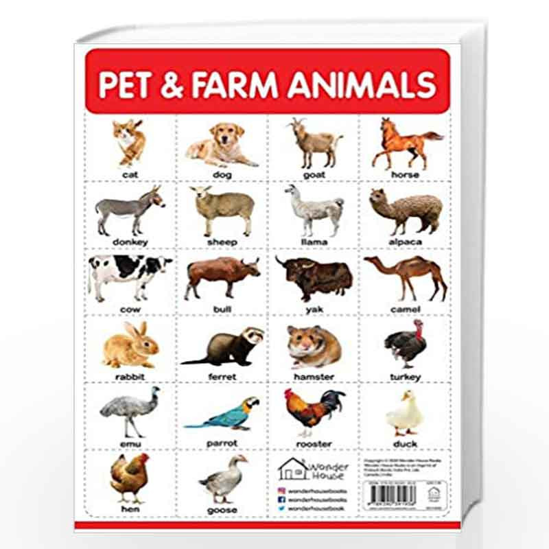 Pet and Farm Animals - My First Early Learning Wall Chart: For Preschool,  Kindergarten, Nursery and Homeschooling (19 inches X 29 inches) by Wonder  House Books-Buy Online Pet and Farm Animals -