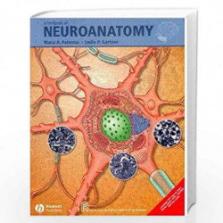 A Textbook of Neuroanatomy by Patestas, Maria A. Book-9781405163286