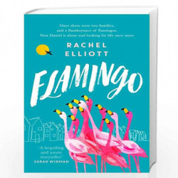 Flamingo: An exquisite and heartbreaking novel of kindness, loneliness, hope and love by Rachel Elliott Book-9781472259462