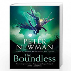 The Boundless: Epic fantasy adventure from the award-winning author of THE VAGRANT: Book 3 (The Deathless Trilogy) by Newman, Pe