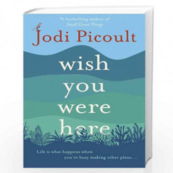 Wish You Were Here: The Sunday Times bestseller readers are raving about by JODI PICOULT Book-9781473692510