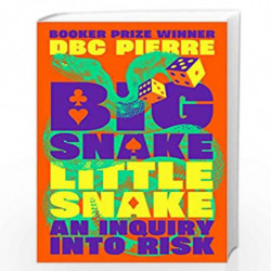 Big Snake Little Snake: An Inquiry into Risk by Pierre, D B C Book-9781788169776