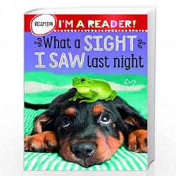 Im a Reader! What A Sight I Saw Last Night (Reception: Ages 4+) by Make Believe Ideas Book-9781800589568