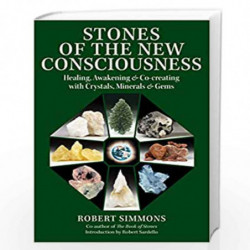 STONES OF THE NEW CONSCIOUSNESS by Simmons, Robert Book-9781644113844