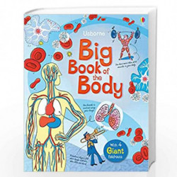 Big Book of The Body (Big Books) by Usborne Book-9781409564041
