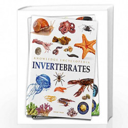 Animals - Invertebrates : Knowledge Encyclopedia For Children by Wonder House Books Book-9789354400247