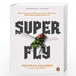 Super Fly: The Unexpected Lives of the World's Most Successful Insects by Jothan Balcombe Book-9780143134275
