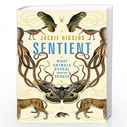 Sentient: What Animals Reveal About Our Senses by Jackie Higgins Book-9781529030785