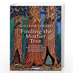 Finding The Mother Tree (Lead Title): Uncovering the Wisdom and Intelligence of the Forest by Simard, Suzanne Book-9780241389355