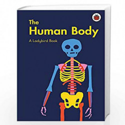 A Ladybird Book: The Human Body by Jenner, Elizabeth Book-9780241416983