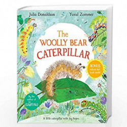 The Woolly Bear Caterpillar by Julia Doldson Book-9781529012200