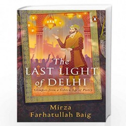 The Last Light in Delhi by Mirza Farahtullah Baig