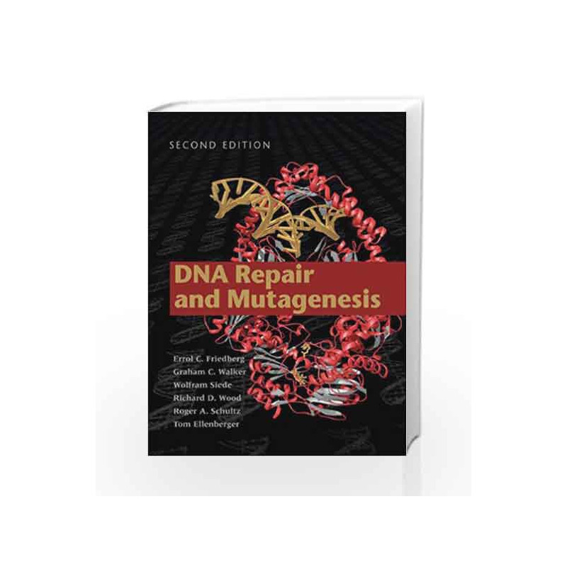 DNA Repair and Mutagenesis by ILLUSTRATED PRESCHOOL BOOKS Book-9781555813192