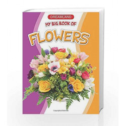 My Big Book of Flowers by Dreamland Publications Book-9781730110368