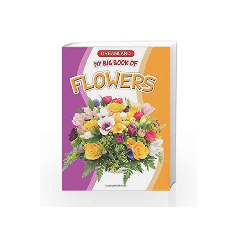 My Big Book of Flowers by Dreamland Publications Book-9781730110368