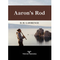 Aaron's Rod book by D. H. Lawrence