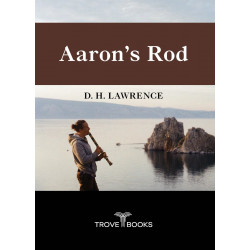 Aaron's Rod book by D. H. Lawrence