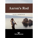 Aaron's Rod book by D. H. Lawrence - Back Cover