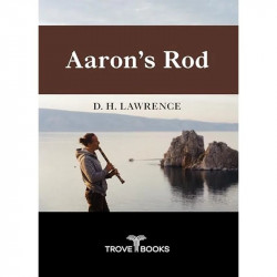 Aaron's Rod book by D. H. Lawrence - Back Cover