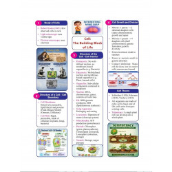 Golden Science Study Material Based on New NCERT Textbook Exploration for Class-9 | For 2027 CBSE Exams | Mind Map | Summary… -