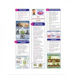 Golden Science Study Material Based on New NCERT Textbook Exploration for Class-9 | For 2027 CBSE Exams | Mind Map | Summary… -