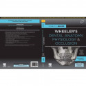 WHEELERS DENTAL ANATOMY PHYSIOLOGY AND OCCLUSION 11ED (SAE) (PB 2021) book by Nelson