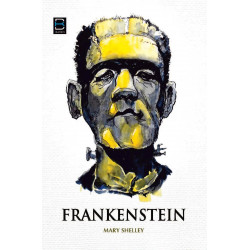 Frankenstein book by Mary Shelley